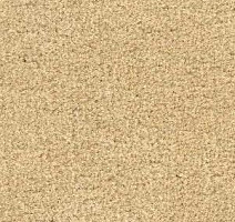 Ковролин Radici Admiral Vanilla 2229 фото 1 | FLOORDEALER